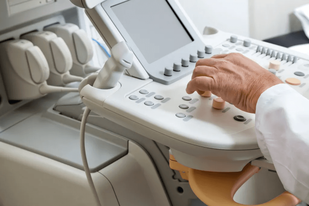Ultrassom transvaginal: entenda a importância durante a gestação