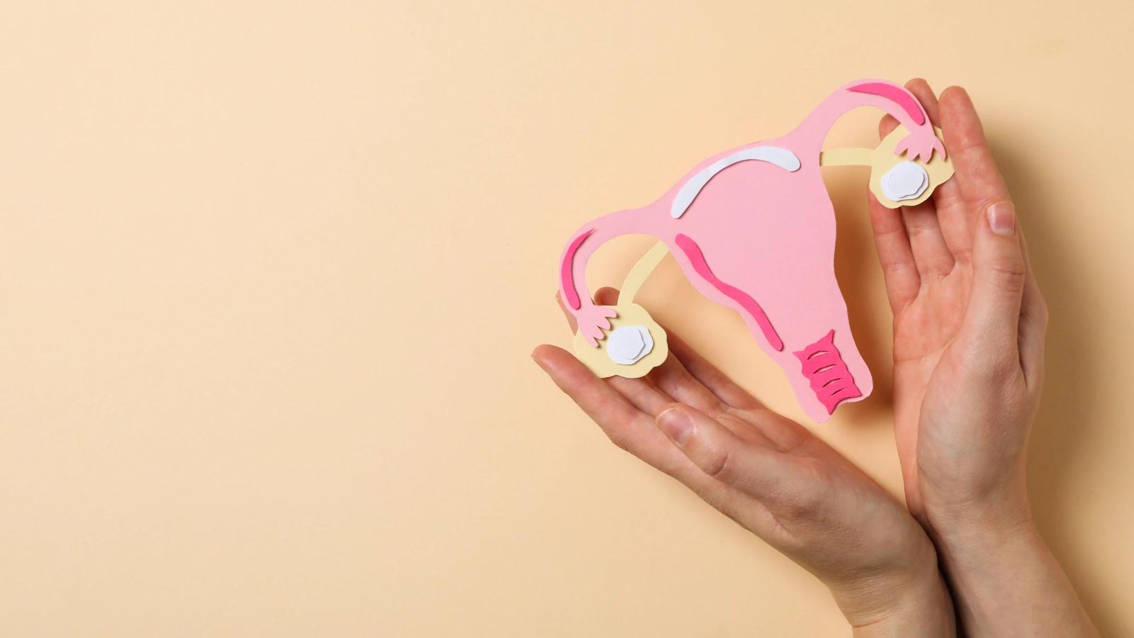 Saúde da mulher: exames, cuidados e alertas em cada fase da vida
